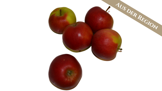 Apfel Elstar