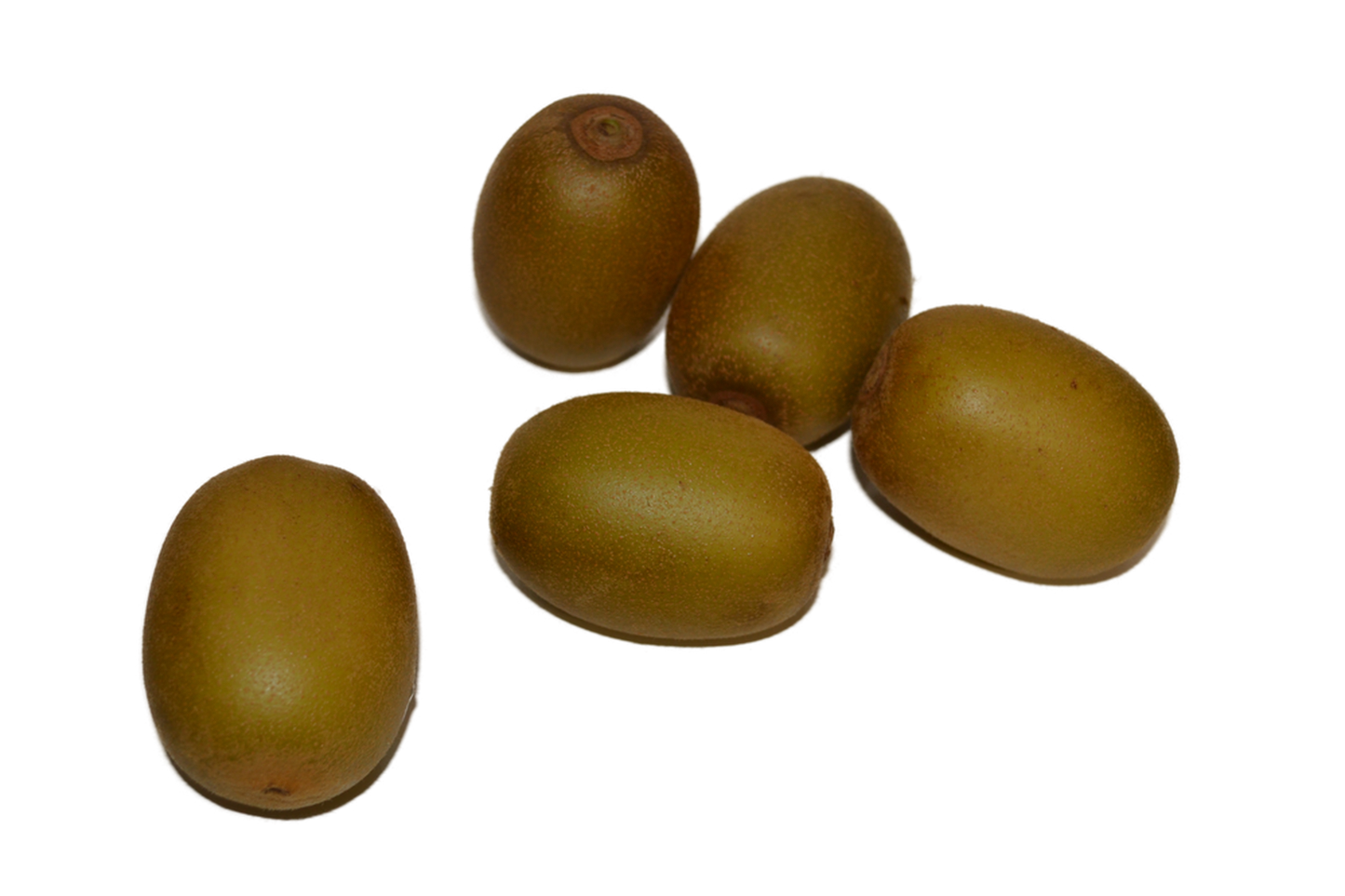 Kiwi Zepri Gold