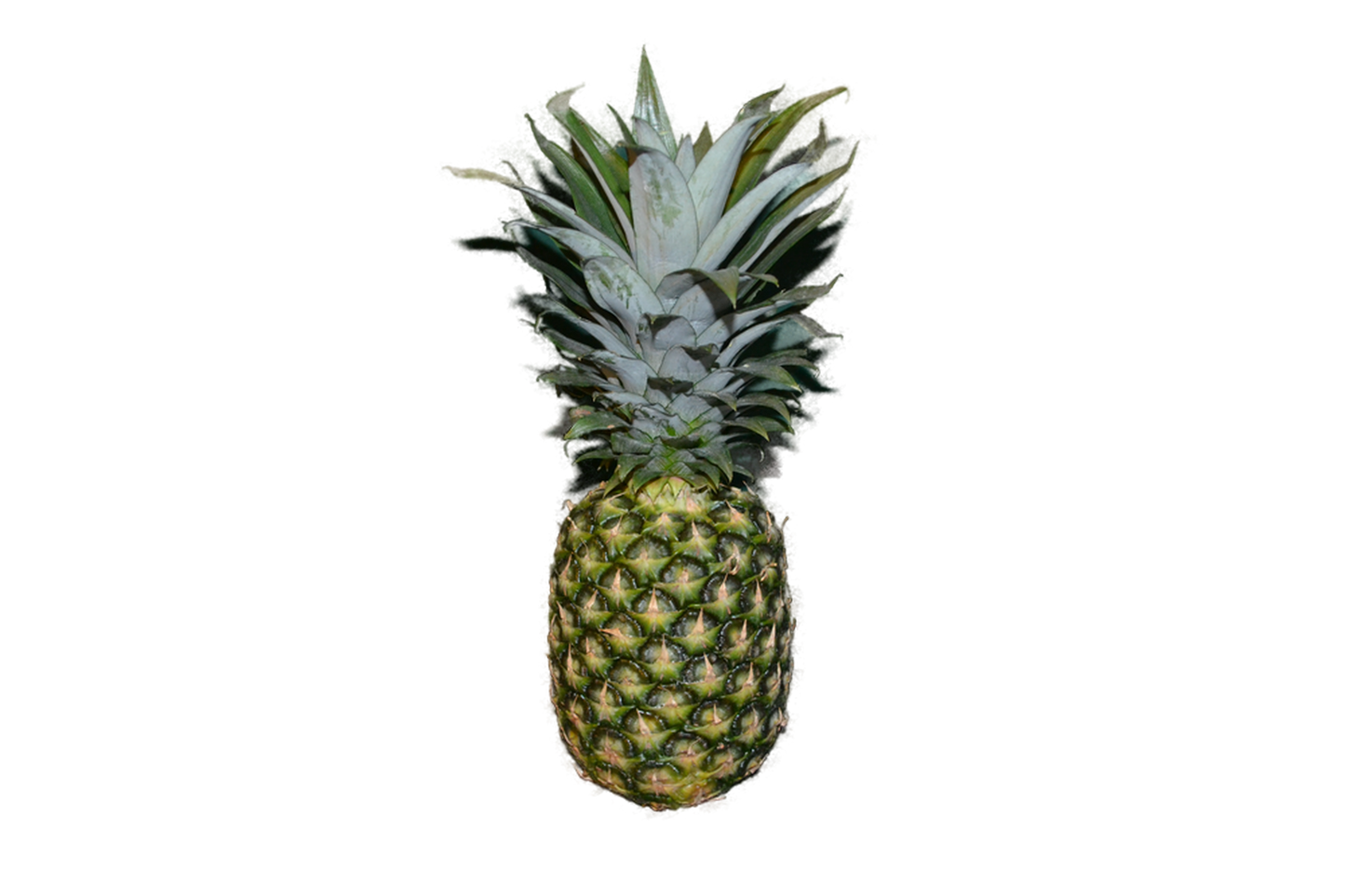 Ananas