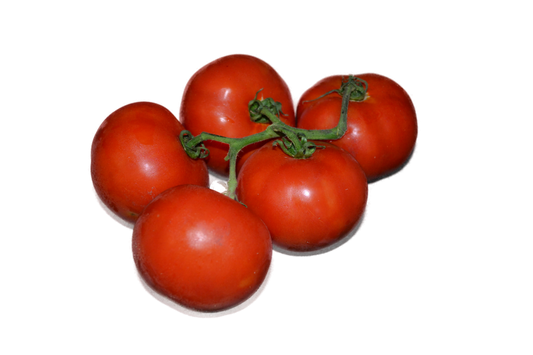 Tomaten Harvest