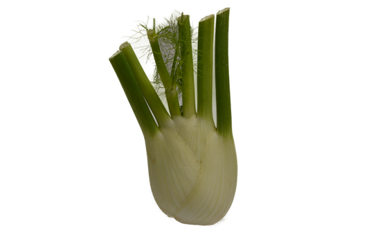 Fenchel