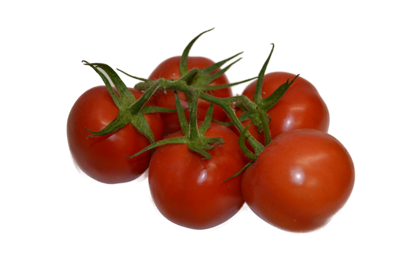 Tomaten